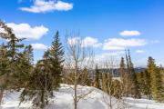 Top Breckenridge