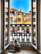 La Finestra sul Borgo