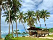 Top El Nido Top El Nido