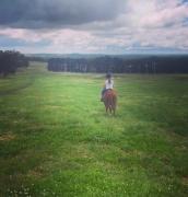 Top Berrima