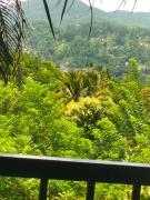 Hidden Heaven Grove-Kandy