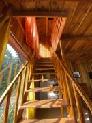 Top Monteverde