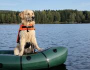 Top Shaver Lake