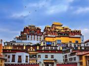 Top Shangri-La