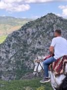 Top Maliq