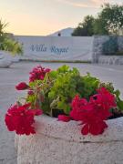 Top Tivat