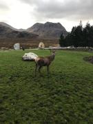 Top Kinlochleven