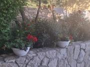 Top Babino Polje