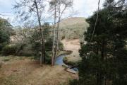 Top Noojee