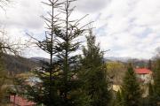 Top Yaremche
