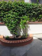 Top Pontecagnano