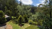Top Noojee