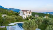 Top Tirana