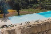Top Noto