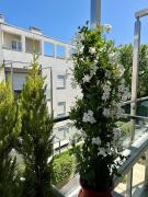 Baia Bianca Luxury Seaside