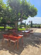 Top Cavaillon