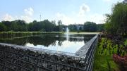 Top Rybnik
