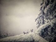 Top Shimla