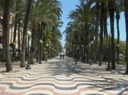 Top Alicante