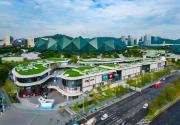 Top Longgang