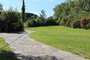 Top Quadrelli