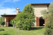 Top Quadrelli