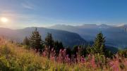 Top Belalp