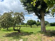 Top Pujols Gironde
