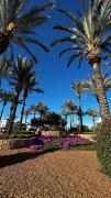Top Torre-Pacheco