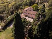Top Palaia