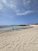 Top Cotillo Top Cotillo