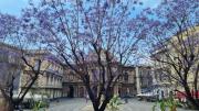 Top Catania