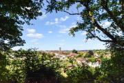Top Ludlow
