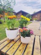 Holiday bungalows with pool