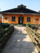 Top Dimapur