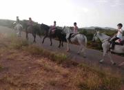Top Macastre