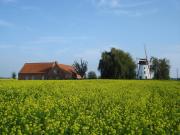 Brouckmolen