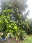 Top Santa Fe de Antioquia