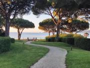Top Saint-Tropez