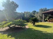 Agriturismo Sabori Antigu
