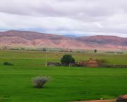 Top Oulad Rguia