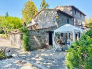 Top Todi Top Todi