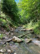 Top Szczawnica