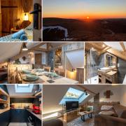 Le nid douillet des Vosges