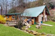 Top Sylva
