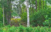 Top Vimmerby