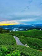 Top Munnar