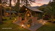 COCO FOREST CAMPING RESORT - Luxury Glamping & Farm Stay Villa