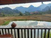 Top Hang Nôn