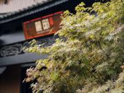 Top Dali Ancient Town